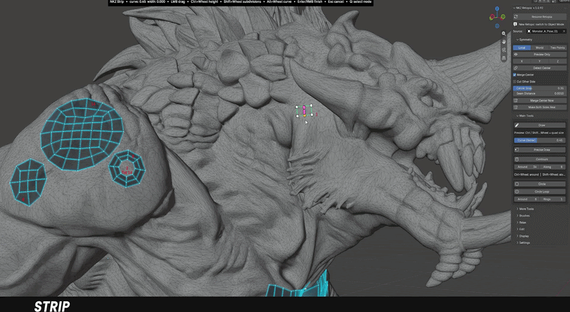 NKZ Retopia Draw building a quad grid on a sculpt